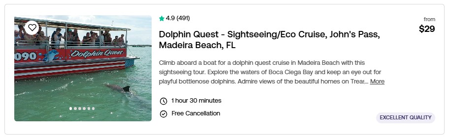 Dolphin Quest