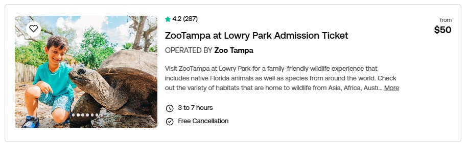 ZooTampa is a wonderful zoo.