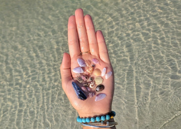Shelling cruise